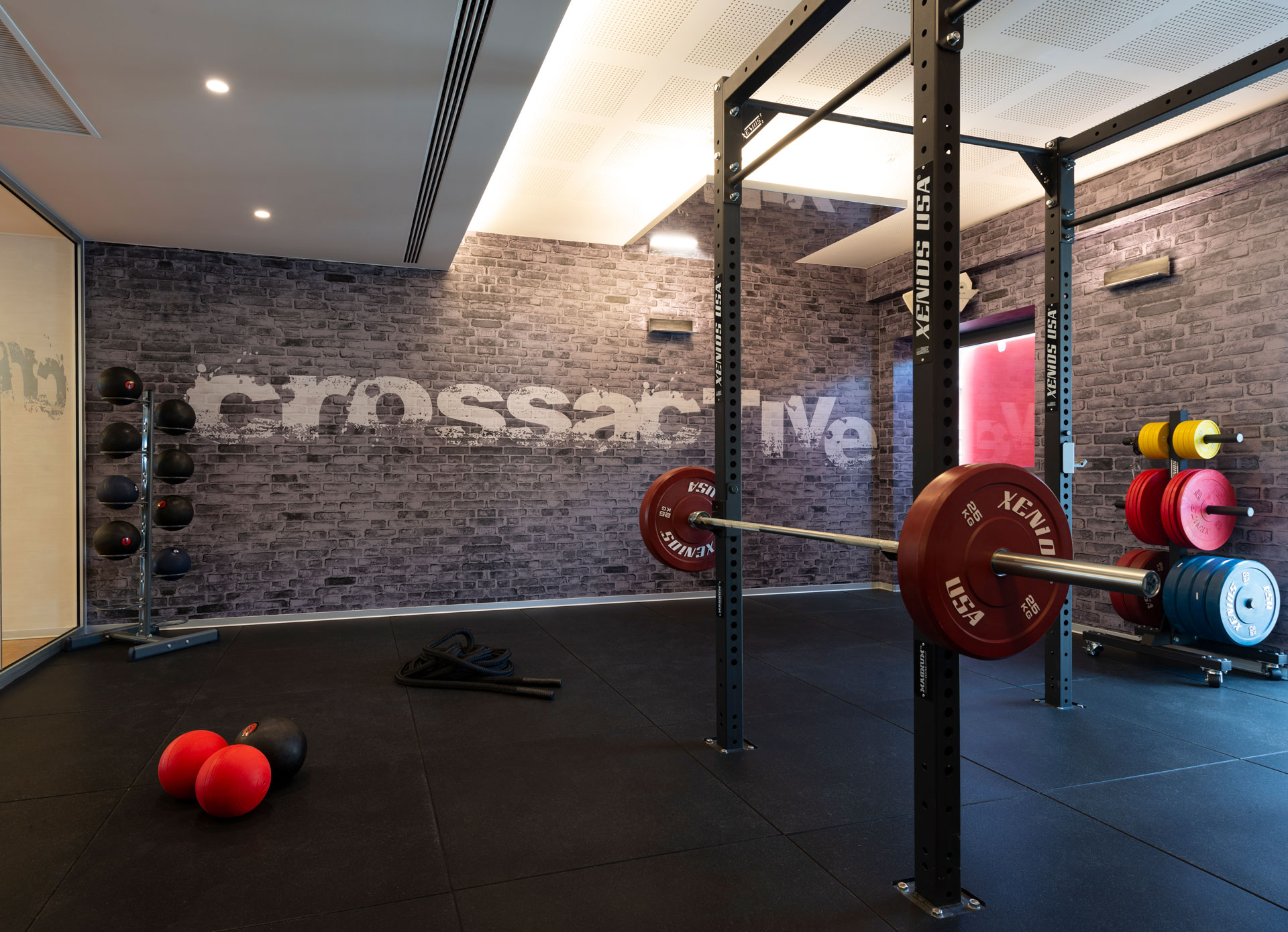 Studio<br>Cross Active