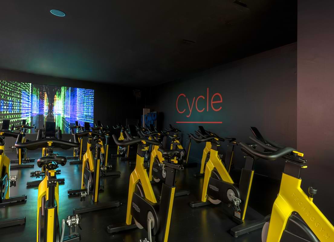 Studio Cycle
